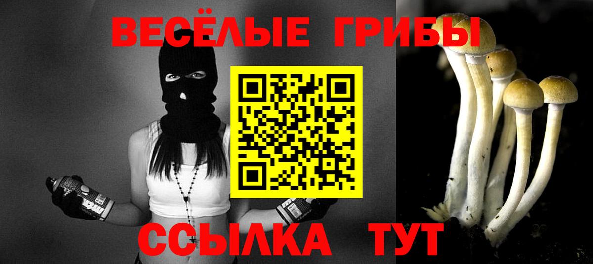 Псилоцибиновые грибы прущие грибы  Псилоцибиновые грибы GOLDEN TEACHER  Вход с VPN  Ликино-Дулёво 